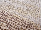 Тъкан килим ALLEGRA 8024 beige